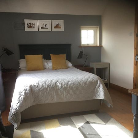 ドンベッグ Dromelihy House Studゲストハウス エクステリア 写真